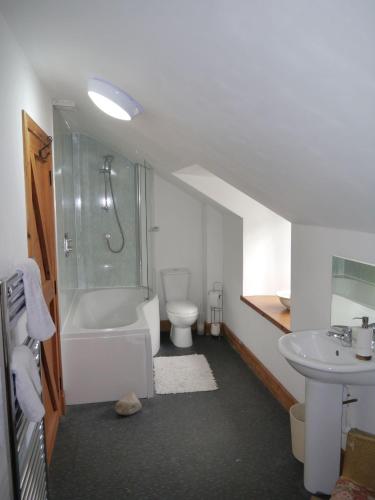MoniaiveOld Coach House的带淋浴、卫生间和盥洗盆的浴室