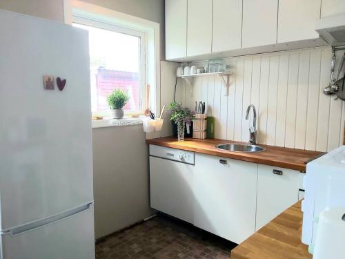 瓦根Cottage Halle-Hunneberg的厨房配有白色冰箱和水槽