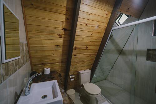 乌鲁比西Cabanas do avencal的一间带卫生间和淋浴的小浴室