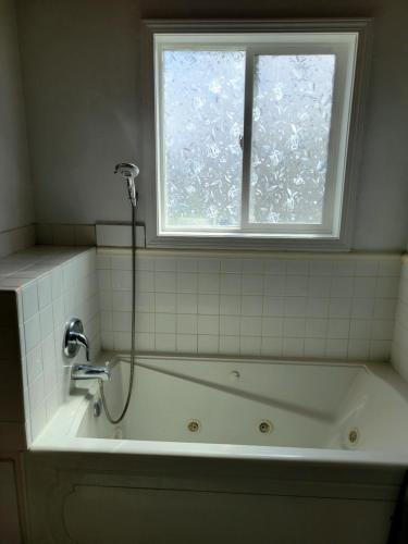 BabbDuck Lake Lodge的带浴缸的浴室和窗户