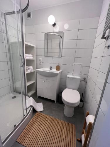 杰尔若纽夫APARTAMENT OŚ. JASNE 9C的浴室配有卫生间、盥洗盆和淋浴。