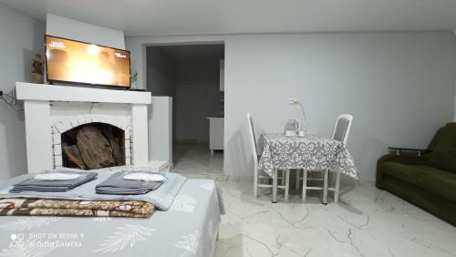 加格拉Samira的客厅设有壁炉、桌子和沙发