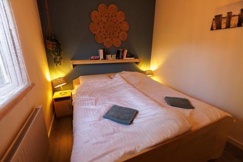 Op-AndelMooi huisje aan de Maas的一间卧室配有一张床,上面有两条毛巾