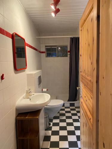 Ober-AbtsteinachHaus Dreil的一间带水槽、卫生间和镜子的浴室