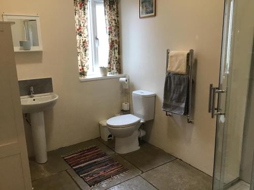 赫里福德Beautiful 1-Bed Lodge in Clifford Hereford的一间带卫生间、水槽和窗户的浴室