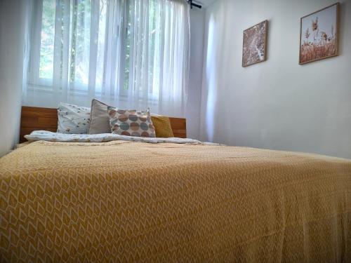 萨拉热窝Birchwood place的一间卧室设有一张大床和窗户