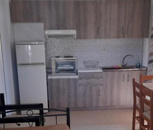 巴利恩季米特里斯公寓 的厨房配有白色冰箱和微波炉