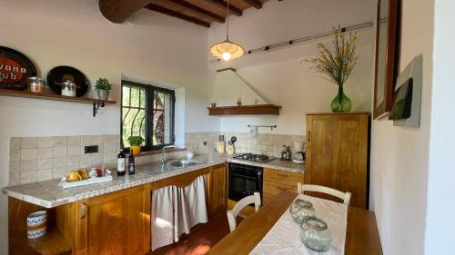 圣吉米纳诺Podere Montese Country House的厨房配有桌子和台面