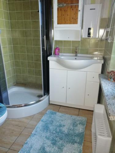 GarzSpatzennest的浴室配有盥洗盆、淋浴和盥洗盆。