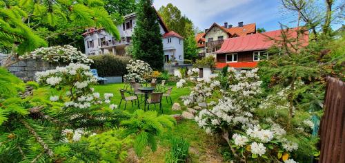 斯克拉斯卡波伦巴Domek Artysty的一座种有白色花卉的花园