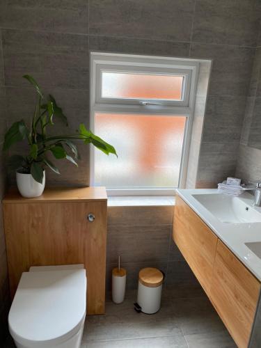 斯凯格内斯Sea Breeze Apartment Skegness的一间带卫生间、窗户和水槽的浴室