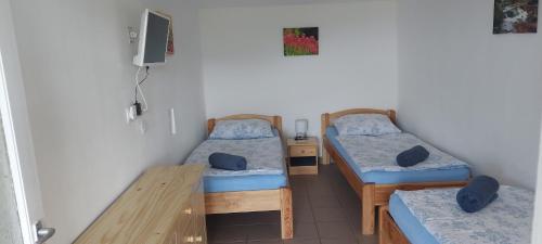 Badacsonyörs100 éves Présház的客房设有两张床和一张木桌。