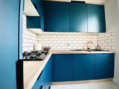 桑多梅日Apartament Króla的蓝色的厨房配有炉灶和蓝色橱柜