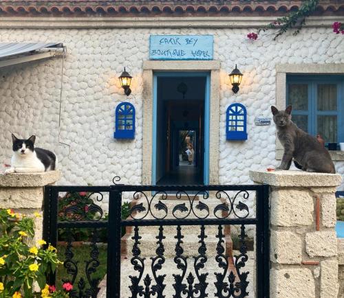 阿拉恰特卡基尔先生住宿加早餐旅馆的坐在房子阳台上的两只猫
