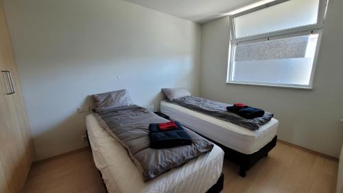 埃基斯蒂尔Bright appartment的小型客房 - 带2张床和窗户