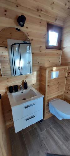 乌斯特卡Gemini MiniDomki的一间带水槽和镜子的浴室