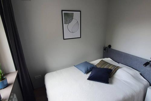 卡托维兹Apartament 710的一张带两个蓝色枕头的床