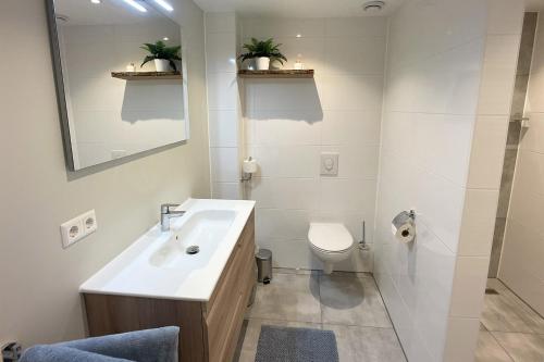 阿尔克马尔Studio Schipper的一间带水槽、卫生间和镜子的浴室