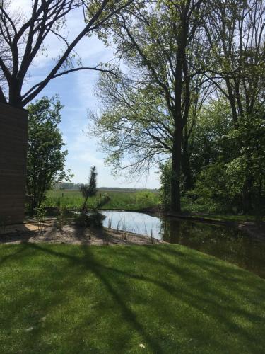 许尔斯霍斯特Fraai Tiny House aan het veluwemeer met uitzicht & veranda的享有树木和草地的河流美景