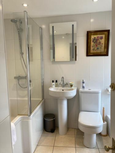 艾伦代尔镇Hotspur House的浴室配有卫生间、盥洗盆和淋浴。