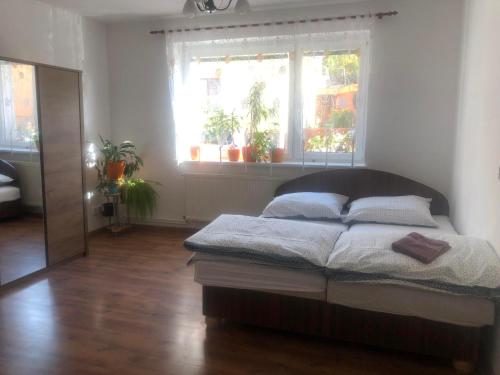 尼萨河畔亚布洛内茨Ubytování u Kubů的一间卧室设有一张床和两个窗户。