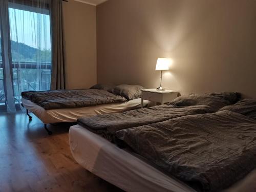 克雷尼察Apartamenty Miku的配有两张床的带灯和窗户的客房