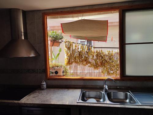 贝尼多姆Apartamentos Casa May II - Centro Benidorm的厨房水槽和种有盆栽植物的窗户