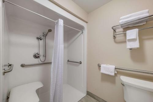 Quality Inn & Suites的一间浴室
