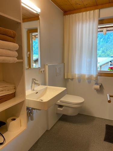 施科佩尔瑙Haus Emma的一间带水槽和卫生间的浴室以及窗户。