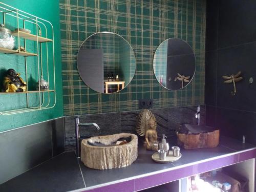法勒斯堡BOIS DE CHENES HOUSE的浴室设有两面镜子,水槽里放着一只猫