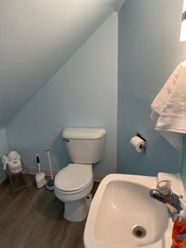 莱克伍德Grandma's Attic的浴室配有白色卫生间和盥洗盆。
