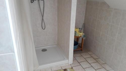 洛沃西采Ubytovací zařízení的带淋浴的小浴室