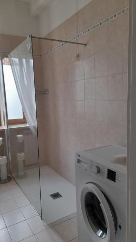 Invorio InferioreCasa Germana的带淋浴的浴室内的洗衣机