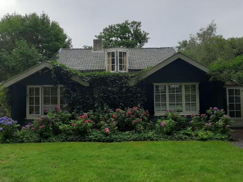 GorsselGorssels Tuinhuis的前面有鲜花的房子