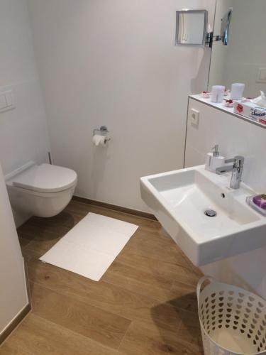 巴贝"Bellevue" Villa Andrea的浴室配有白色水槽和卫生间。