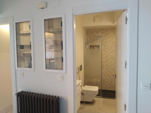 莱昂pleno centro nuevo parking的一间带卫生间和步入式淋浴间的浴室