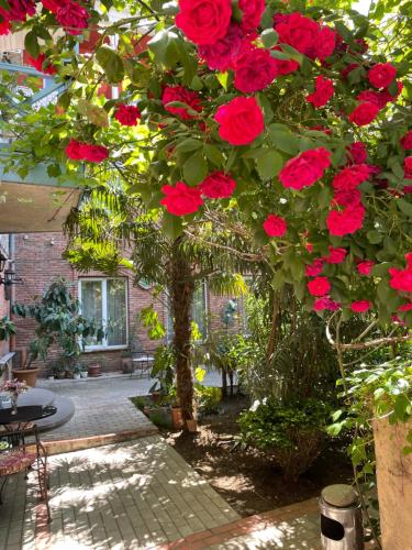 第比利斯卡兰加酒店的挂在树上的一束红玫瑰