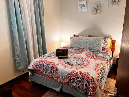 芝加哥Clean, spacious, inexpensive queen BR的一间卧室配有床,床上装有被子