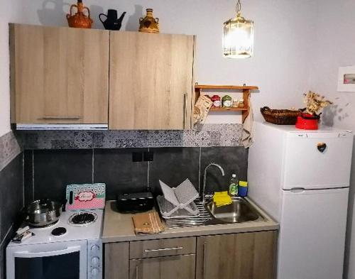 卡托加兹阿Roppas Studios Nostos的厨房配有炉灶和白色冰箱。