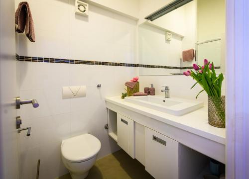 珀德垂那Lavica Bellevue apartments & studios的白色的浴室设有卫生间和水槽。