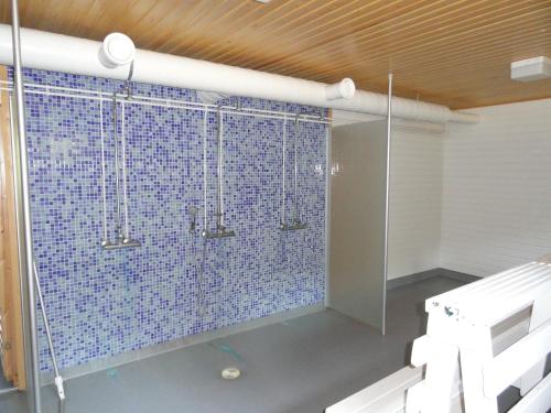 Lemi库哈森萨利度假屋的浴室的墙壁上设有蓝色瓷砖和淋浴。