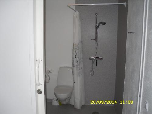 Guderup赫里斯凡公寓的一间带卫生间和淋浴的小浴室
