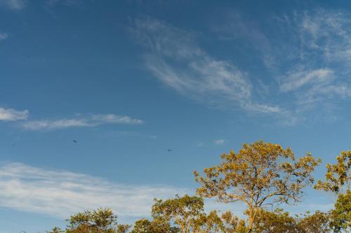 戈亚斯州上帕莱索Chalé Brisas的蓝天前的树