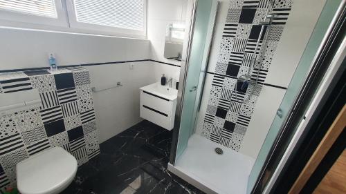 耶塞尼克V Jeseníku的带淋浴、卫生间和盥洗盆的浴室