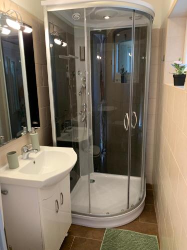 扎马迪Balatonic apartman的带淋浴和白色盥洗盆的浴室