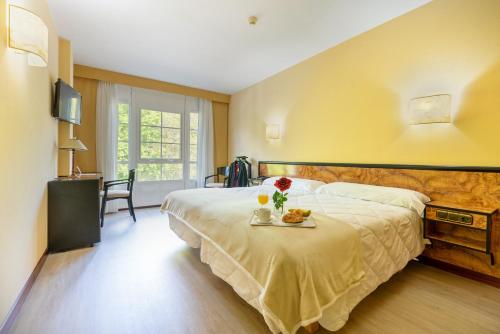 圣地亚哥－德孔波斯特拉卡斯特罗酒店的一间酒店客房,配有一张床铺,上面装有水果盘