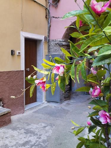 马纳罗拉L' Onda di Manarola的前方有粉红色花朵的建筑的门