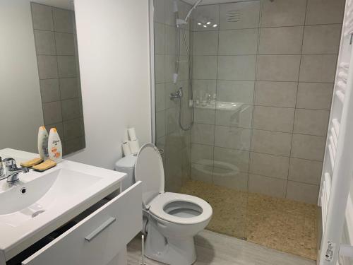弗莱尔suite junior OMAHA BEACH的浴室配有卫生间、盥洗盆和淋浴。