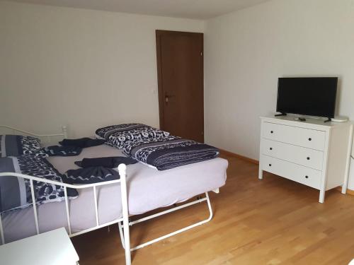 Haag2 Rooms cosy Apartment near Liechtenstein的一间卧室配有一张双层床、一台电视和一个梳妆台