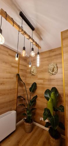 帕多瓦TokiTakai Collection的一间拥有两盆植物和灯的房间